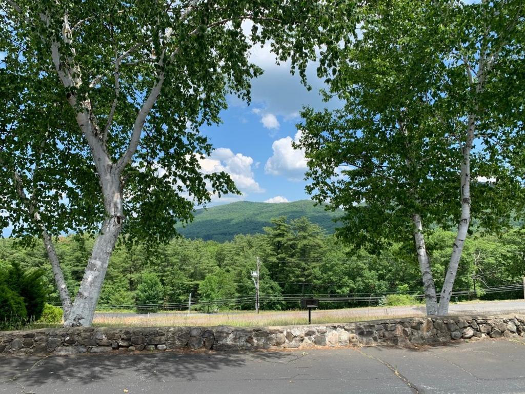 Travelodge By Wyndham George Ny Motel Lake George